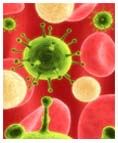 The Microscopic Virus